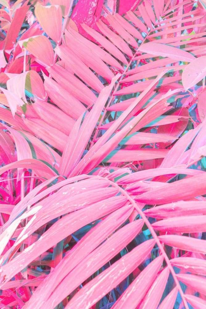 Vibrantly pink palm fronds and foliage from Thailand Art Project Röcke product