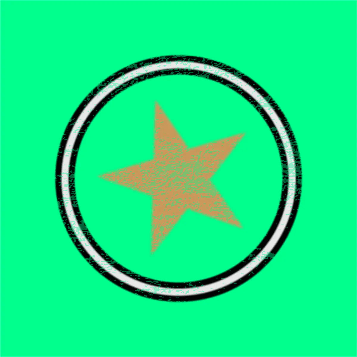 A circular logo with a distressed black and white border, orange star, and gold approved salon text on pump street mini bars