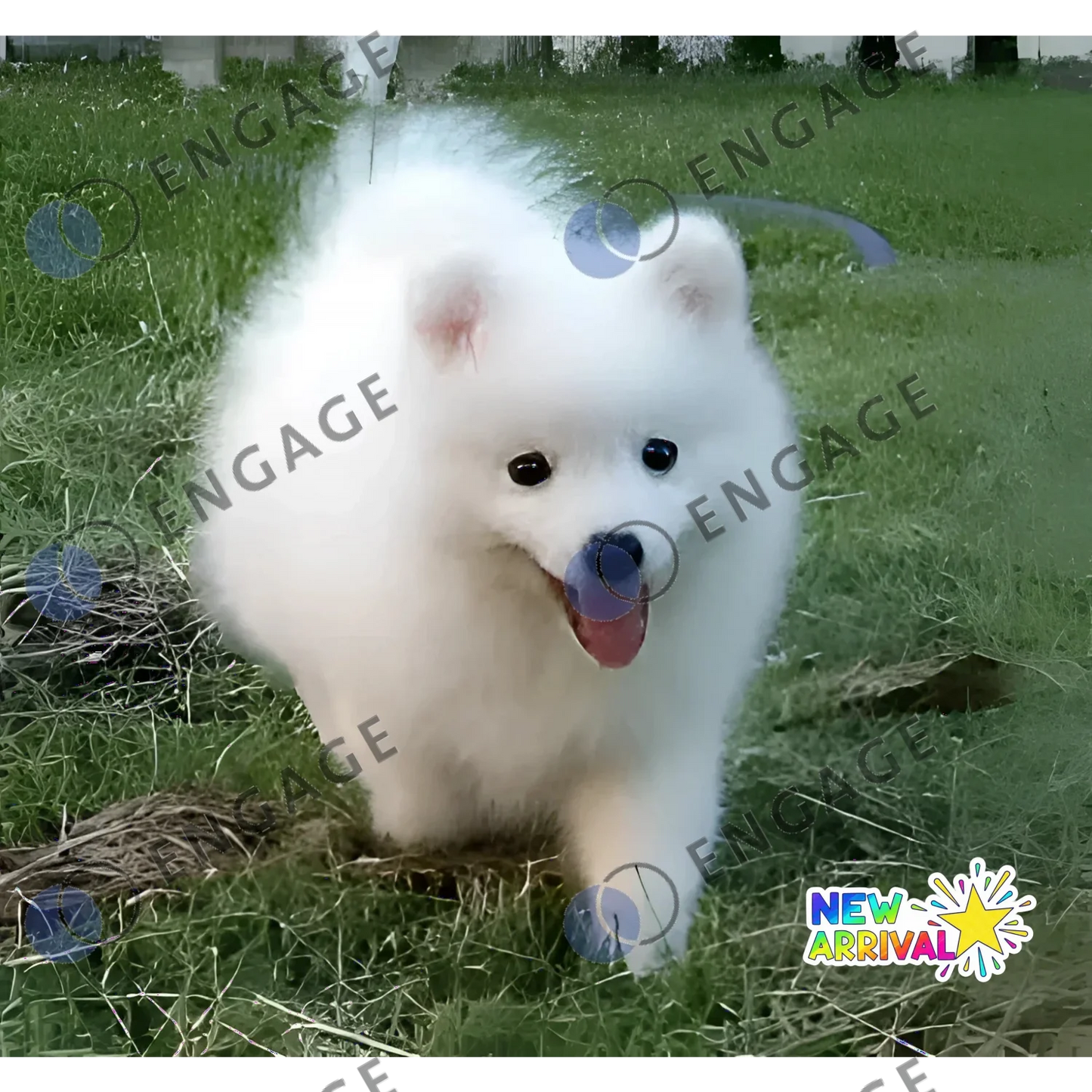 White fluffy dog toy displayed in the Low Reso Dog product for pets