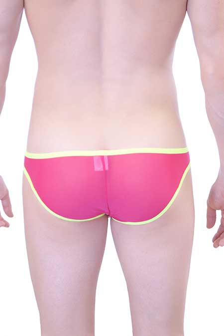 Classic Swim Briefs