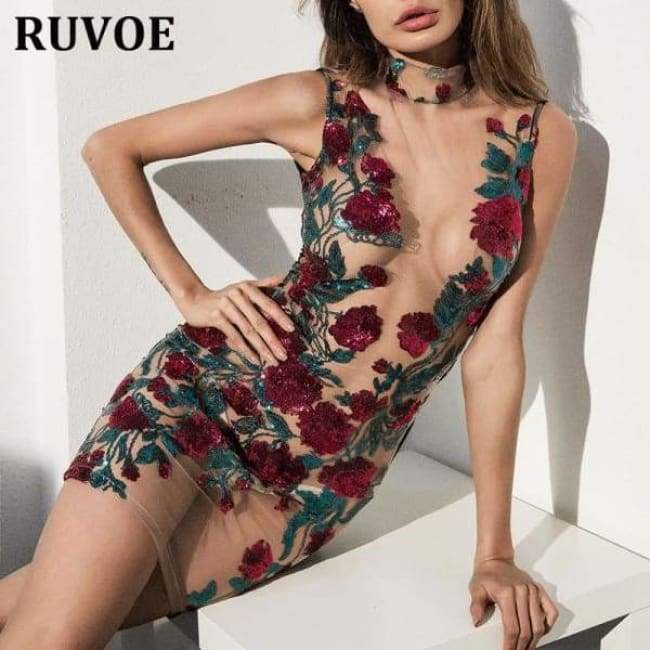 Sheer mesh mini dress with red floral embroidery in a transparent PNG format